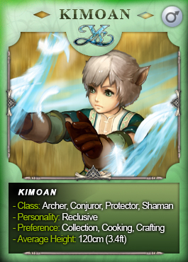 Illustration for article titled Ys Online Plays The Race Cards
